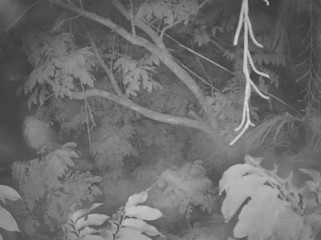 Agreement Signing Between Chamber of Commerce Foundation and Seville City for Planting 30,000 Trees...