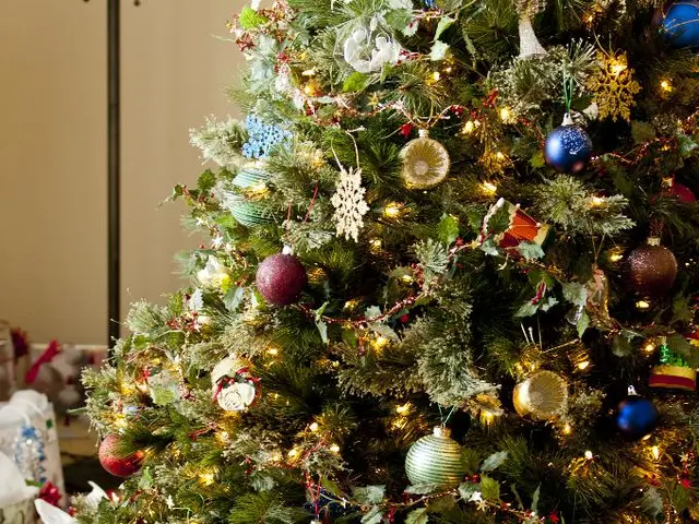 Corporate Gift Advantage: Exploring 5 Key Reasons Why Going Green with Plants is Ideal