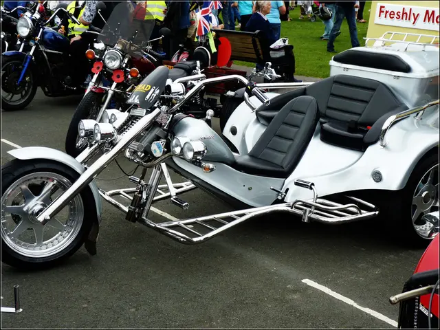 Woman Initiates Stunning Journey Across Lower Saxony