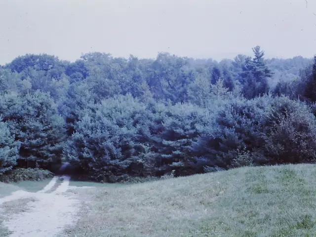 "Color Switched from Gray to Green"