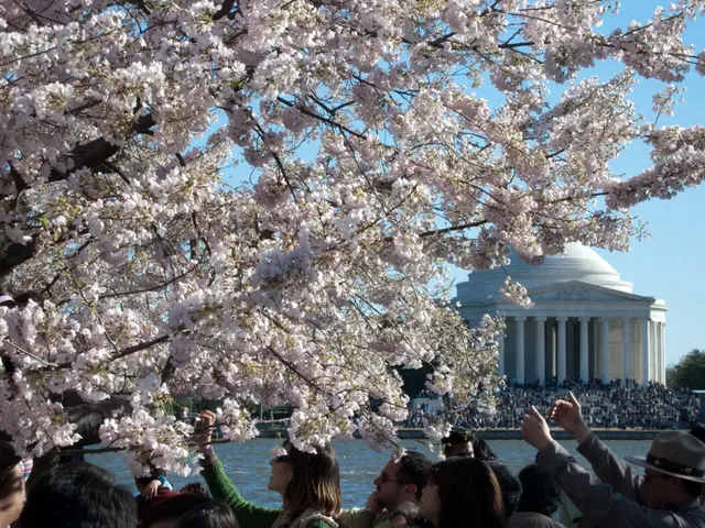 Excessive Fat Content in Substance Weighing More Than 1%