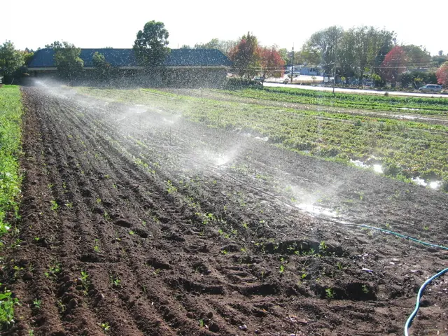 Efficient Management of Irrigation Networks: Preventing Interruptions
