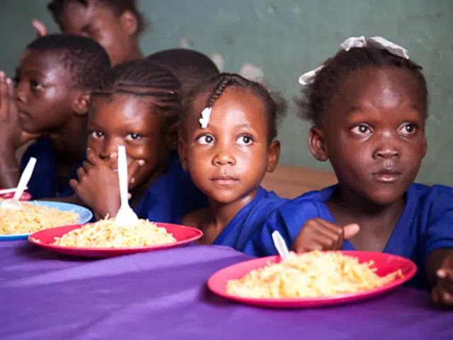 Exploring Pre-School Childcare: Your Various Choices