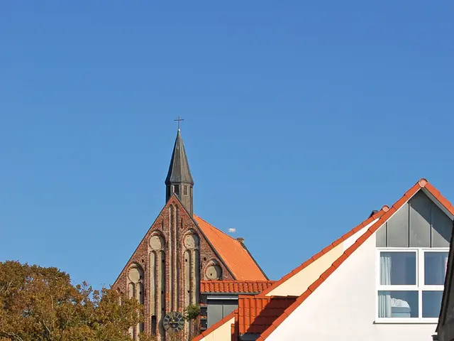 The Interplay Between the Fox and the Elm Tree