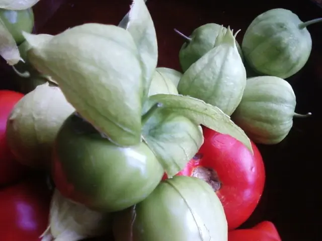 Eco-Friendly Approaches for Tending Chemical-Free Vegetable Plots