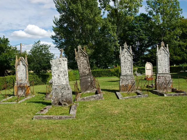Desecrated Jewish Cemetery in Emmerich: Overrun with Garden Debris and Uncontrolled Vegetation