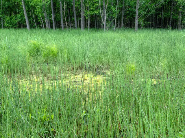 Agricultural Labor and Boxie's Down Under Expedition