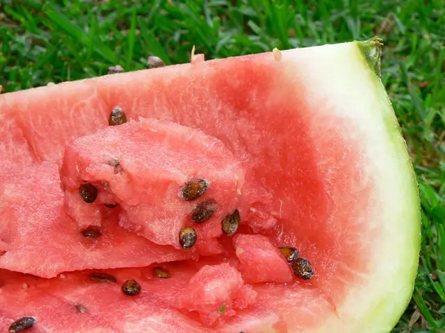 Guide on Sustaining Juicy Watermelons Throughout Summer