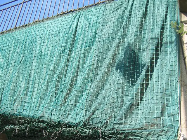 Advantages of Setting Up a Timber Barrier on Your Land Exposed