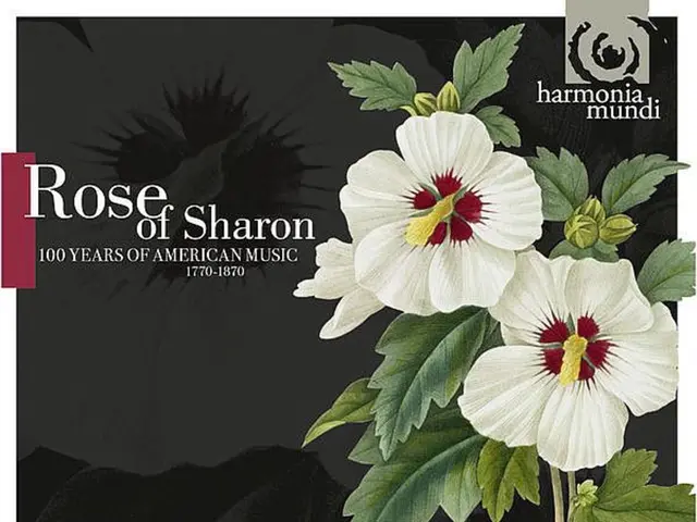 Entry Title: The Enchanted Sanctuary of the Ethereal Sprites