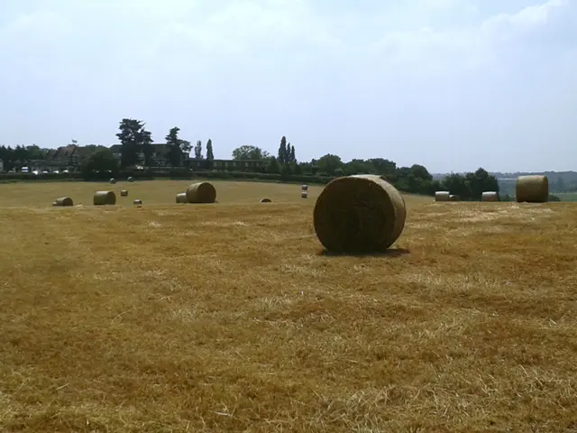 Barn loft situated in Alt Zauche offers a vintage appeal