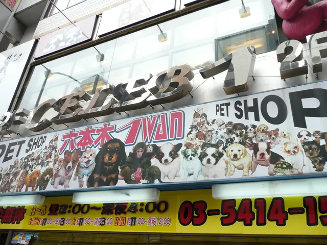 Closing event "Lost Places" at Gerhard-Berting's residence