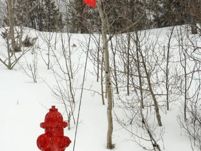 Bright Sun-Loving Hydrangeas for Vibrant Landscapes and Gardens - Discover the Top 4 Shrubs...