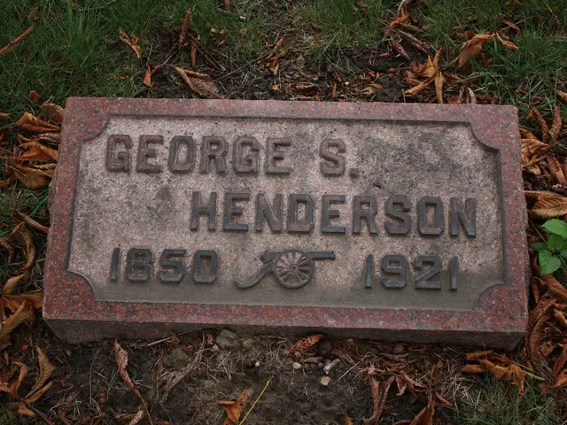 Amaryllis Blooms for the Holidays: Guidelines for Preservation, Growth, and Additional Information