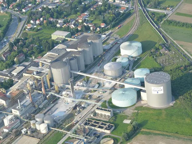 Real Estate Advisor Assists in Examining Pre-owned Assets