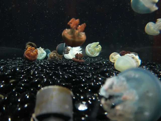 Harmful microorganisms claim a life: Mortality following a swim in the Baltic Sea