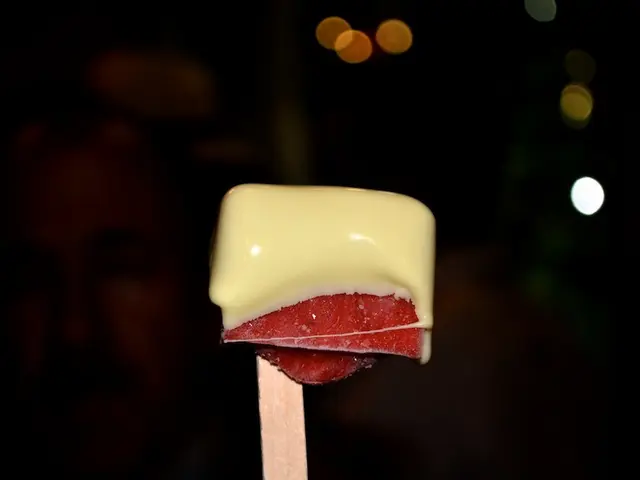 Join us for the Giebichenstein Summer Movie Nights on the Oberburg, the city's open-air cinema...