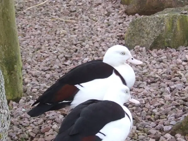 Problems with my gravel driveway have me questioning the overall layout, despite its many appealing...