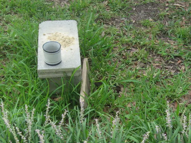 Strategies for Filling Large Planter Bases - Garden Specialists' Preferred Household Items That Cut...