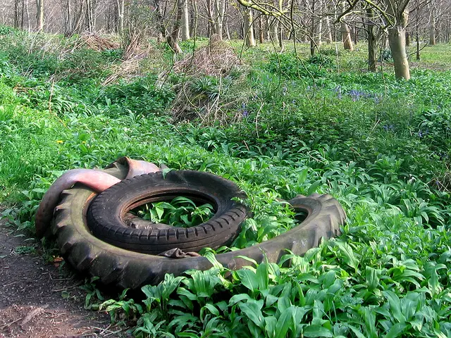 "In just 8 short minutes, you'll find a comprehensive solution for nearly all of your Git-related...