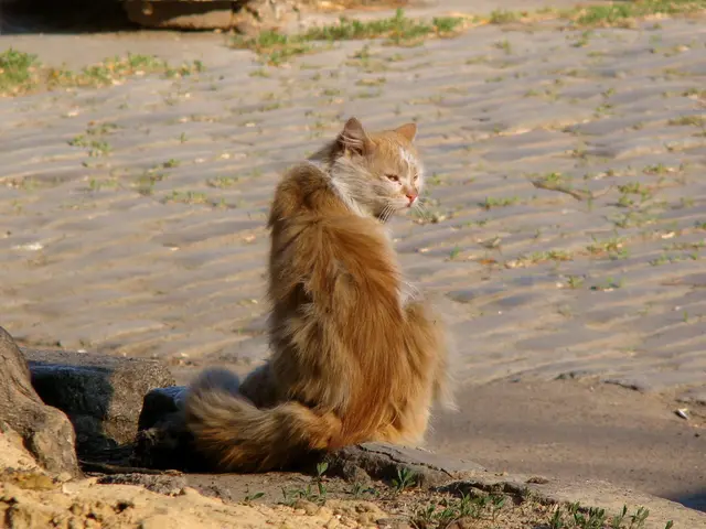 Assistance in Relief Efforts: Central Garden & Pet Collaborates with Greater Good Charities and...