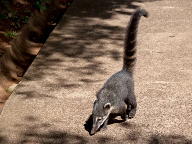 Rotten Soil from Plants: Root Causes and Preventive Measures