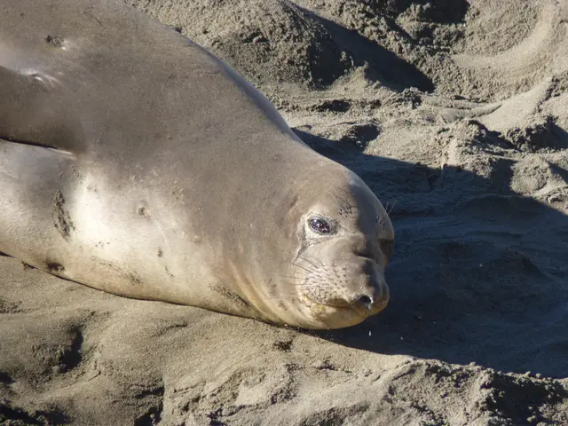 driveway sealant companies rated and evaluated