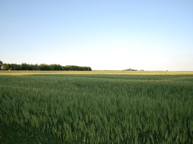 Exploration of Ireland's Shorelines: Life Amidst Land and Ocean (Airtime: 8:00 PM - 9:45 PM)