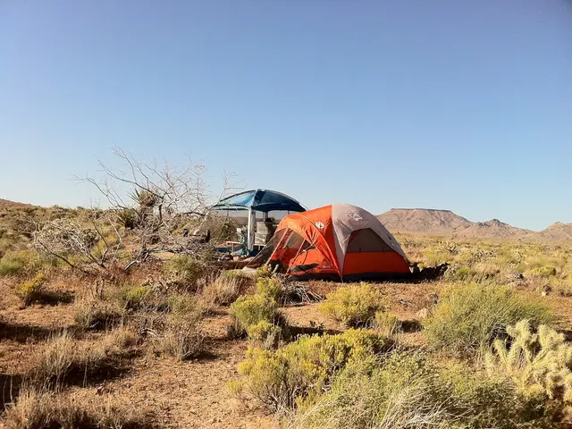 Three methods for enticing blue tits and ensuring these charming birds frequent your garden...