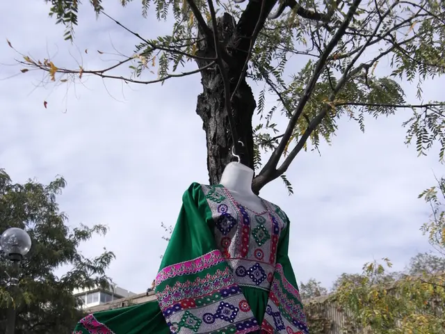 Inspiring Ventures: The Top 10 Innovative Ideas in the Fashion Industry for burgeoning...