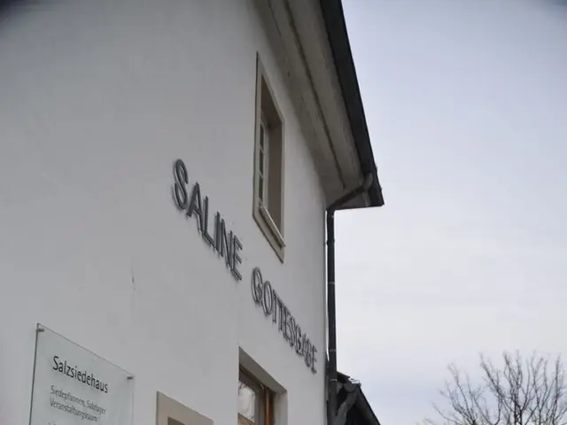 Newcomers to home construction successfully devised an effective approach, resulting in the...