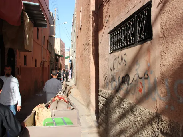 Beloved car of Queen Elizabeth up for auction to highest bidders