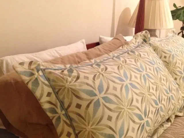 Transformed Throw Pillows Can Drastically Makeover Your Space - 15 Upscale-Appearing Pillows...