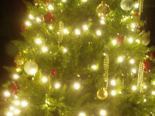 Christmas tree erected in Leipzig, Germany, as captured on video