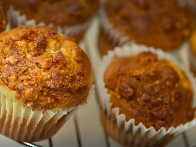 Cast Iron Radiators: The Optimal Selection for Home Heating Systems