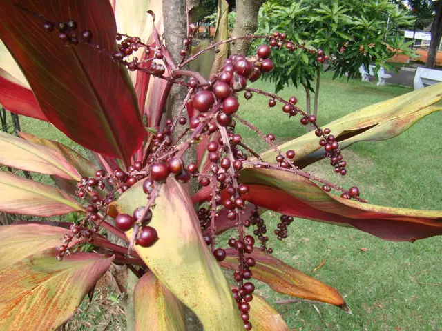 Backyard Garden Resilience Against Unfavorable Climate Conditions