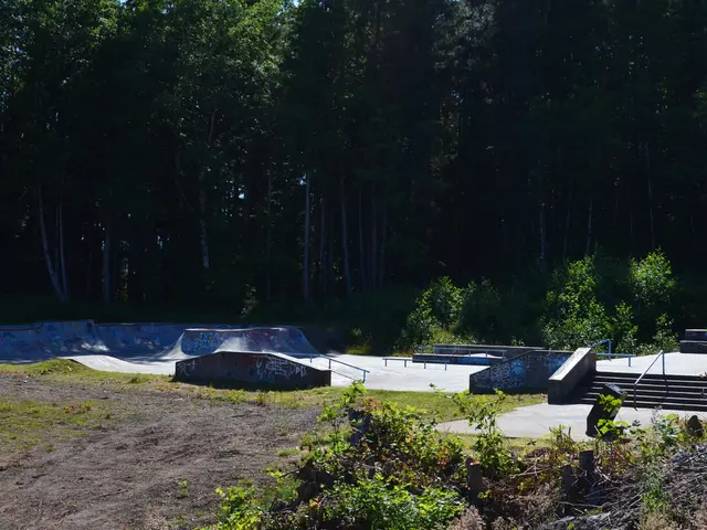 Fruitful Associates for Vibrant Apricot Trees