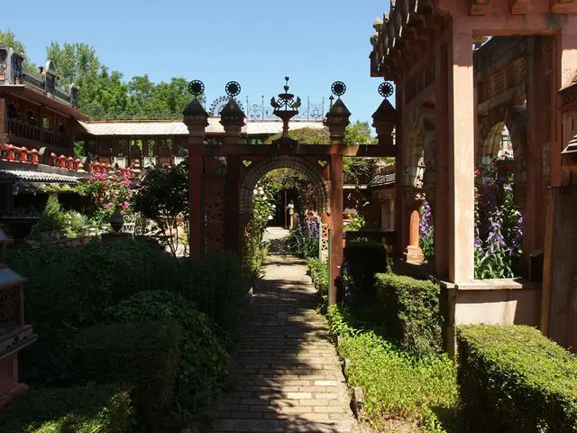 Unassuming yet vibrant shrubs adorned with blossoms, perfect for enhancing your outdoor space