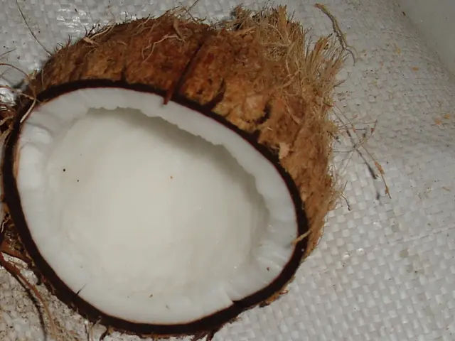 Increased Coconut Water Market Growth Forecasted at 10.8% by 2034