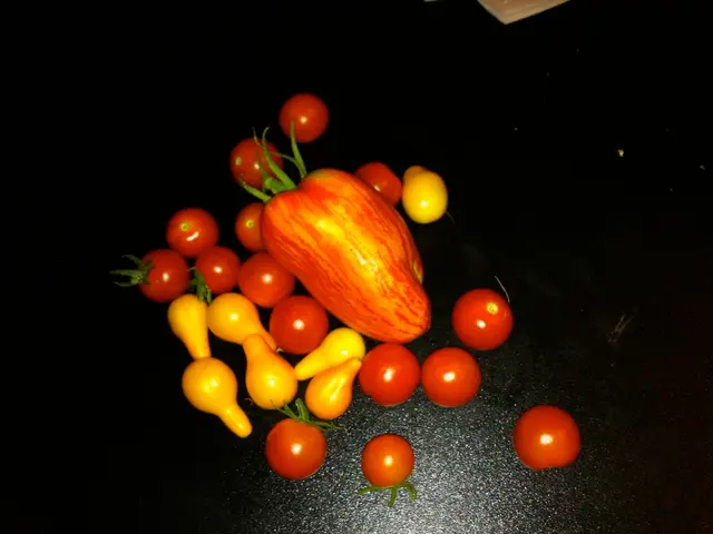 Shopping for tasteable fruit in grocery stores?