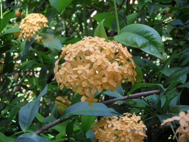 Savoring the Fading Autumn: Discussion with Nigel Slater