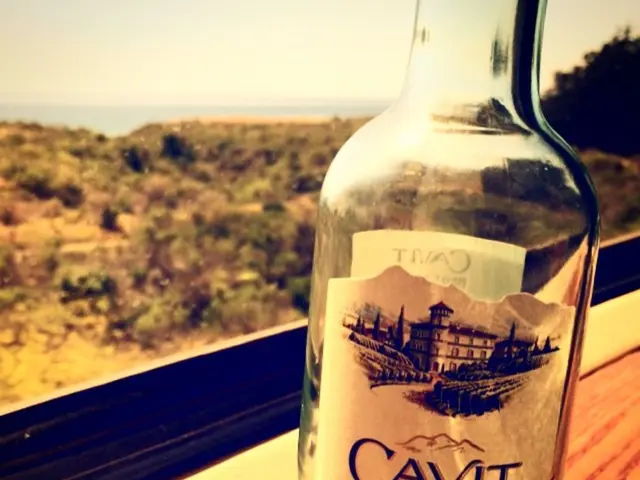 Constructing a Homemade Bottle Arbor: A Step-by-Step Guide