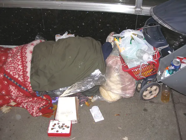 Zion's Watchman Trail Hiking Guide: A Step-by-Step Expedition Guide