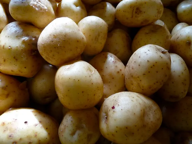 Guide for Cultivating Potatoes at Home