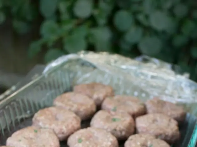 Twenty-seven Chewy pet products for daily use, highly recommended for giving your pet's routine two...