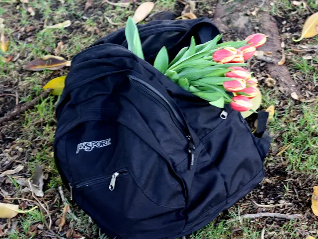 Uncovering Optimal Grow Bags for Flourishing Plants