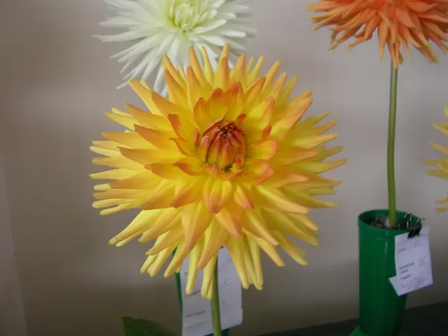 Create Stunning Flower Pot Decoration in Just Three Simplified Steps Using a Sharpie!