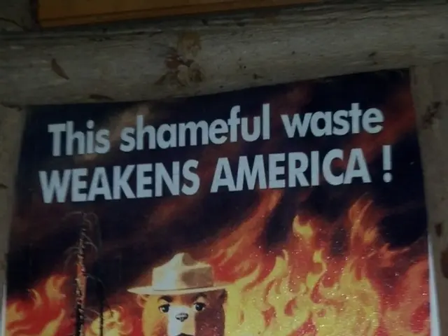 Adhesive Home Decor for Young Children