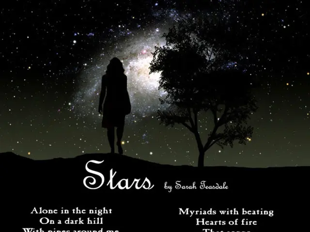 Shimmer brightly amidst the night's gloom