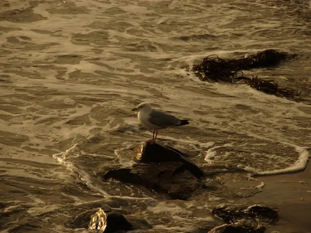 Seabirds, such as seagulls, typically do not perch on tree branches due to their preference for...